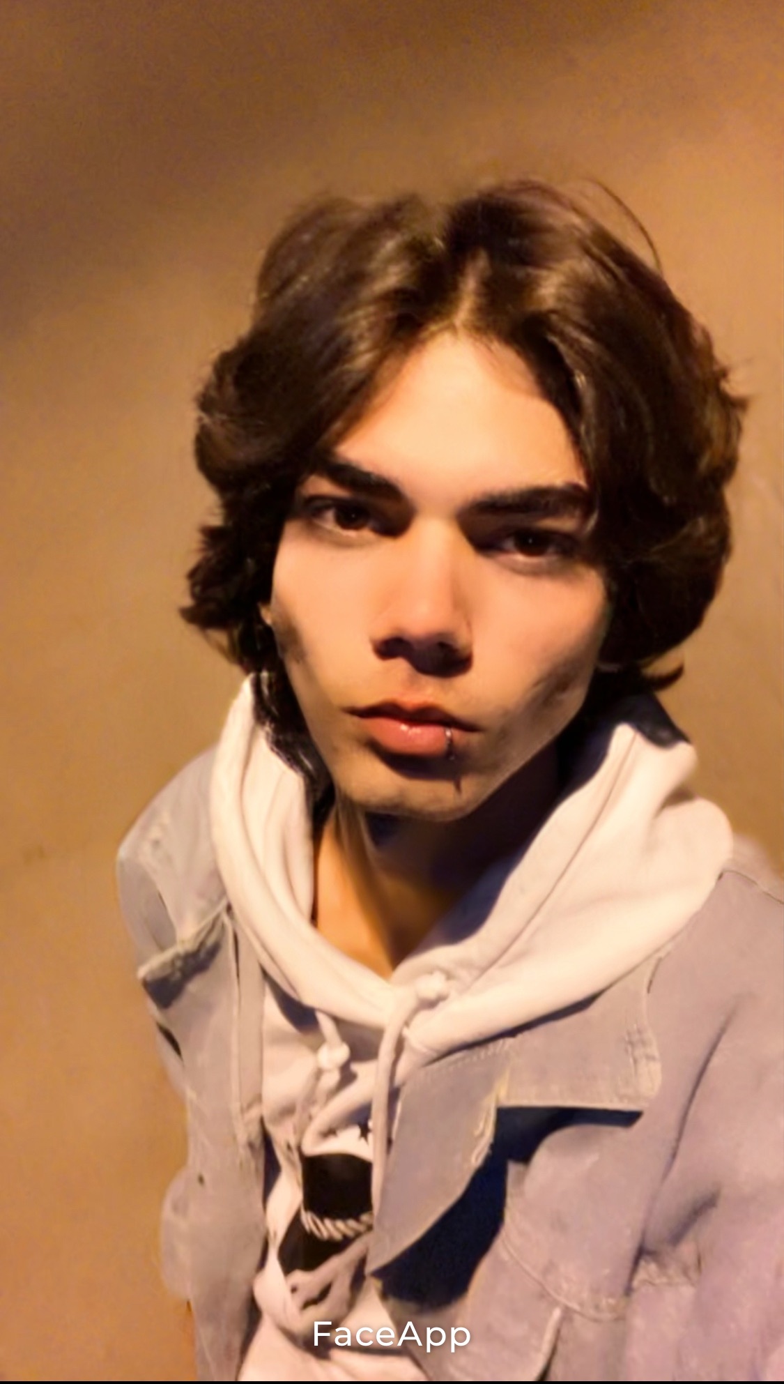 Cervil