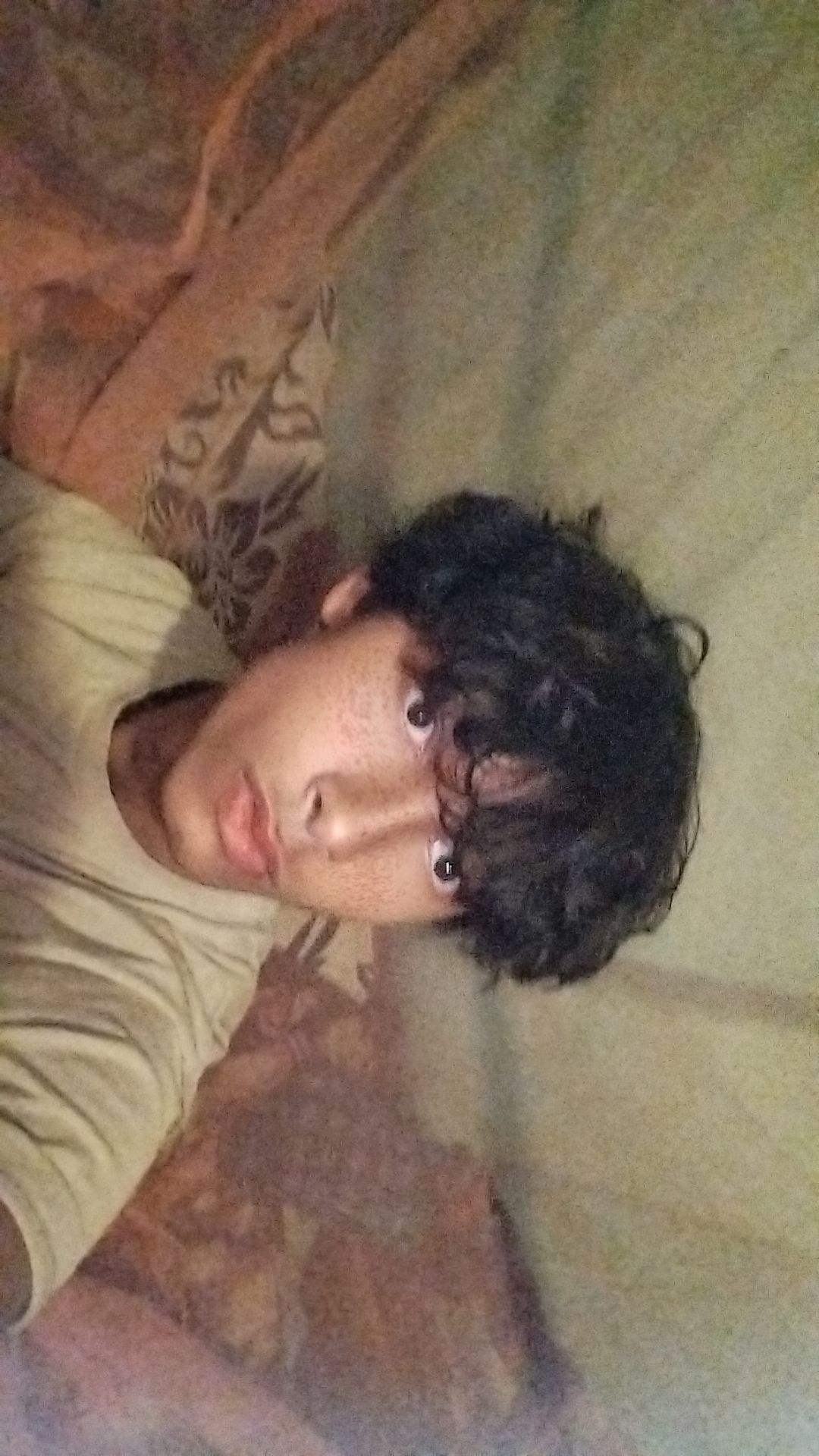 Dexter โ front facing